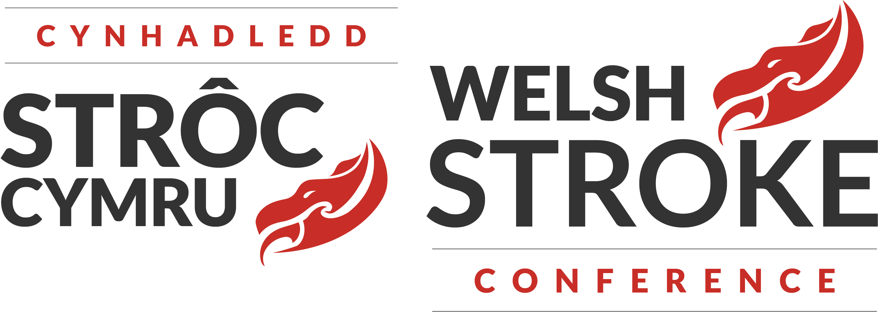 Welsh Stroke Conference: Tier Three – Standard
