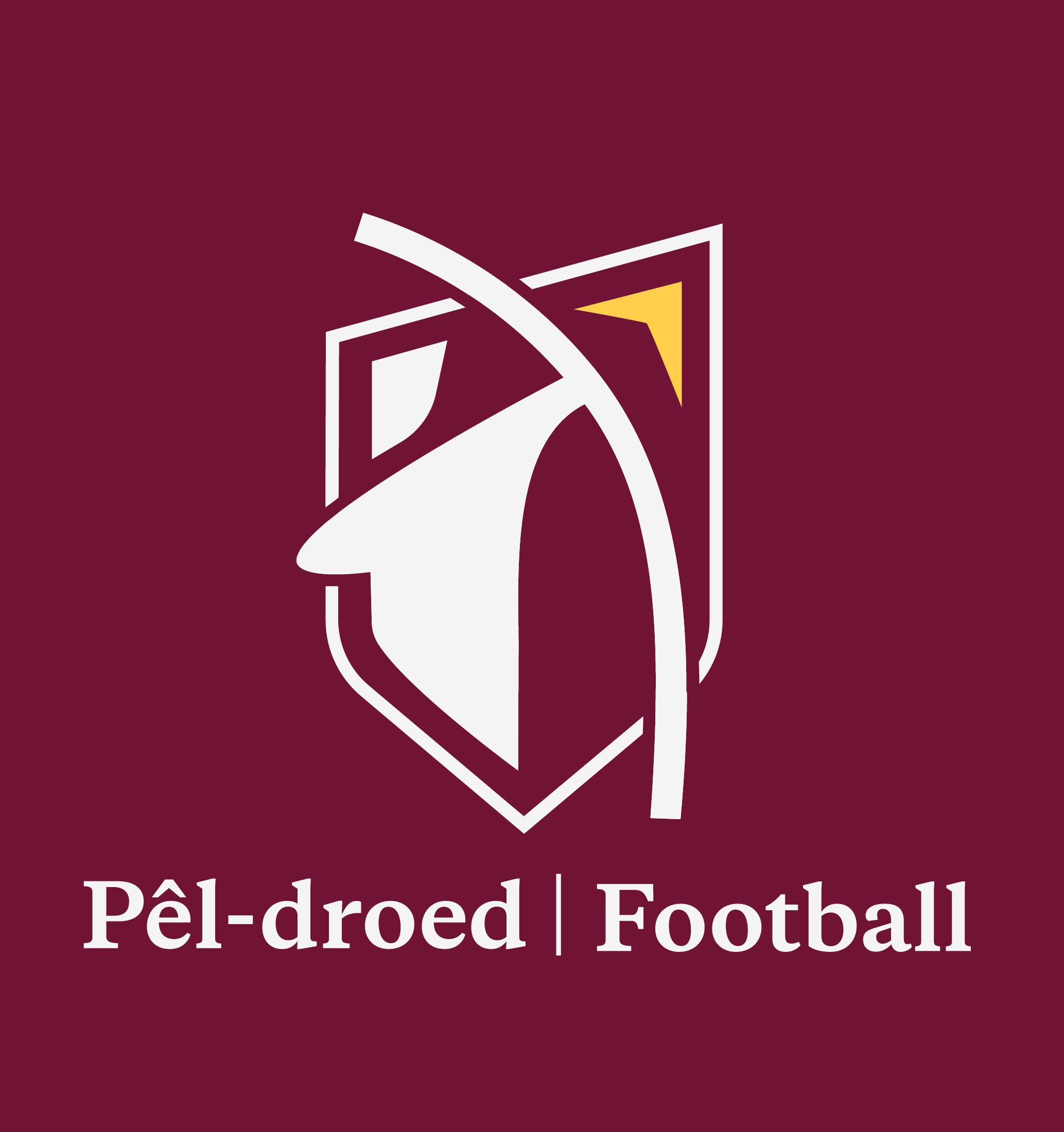 Cardiff Met FC Player Sponsorship