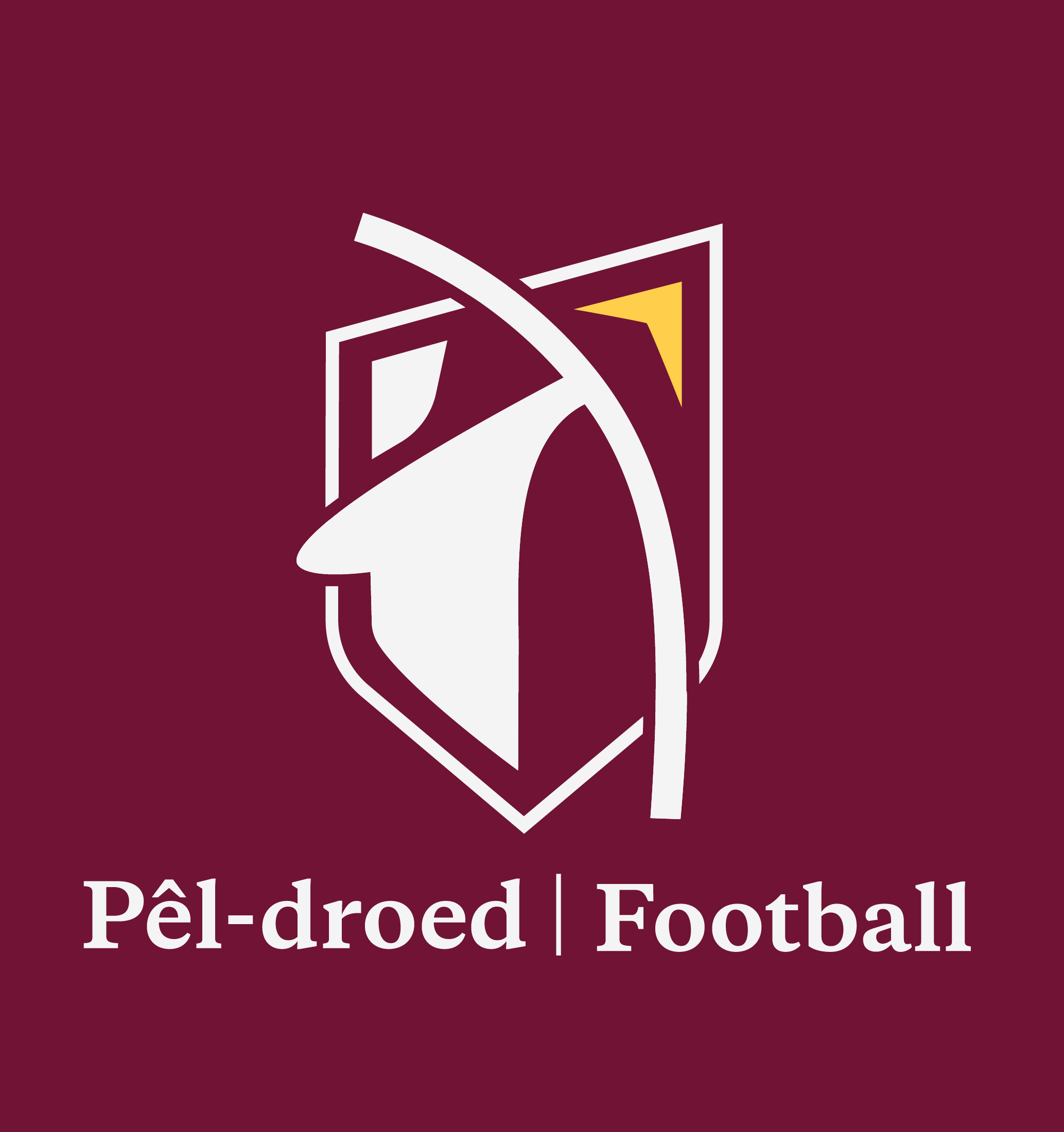 Cardiff Met Football Academy Player Sponsor