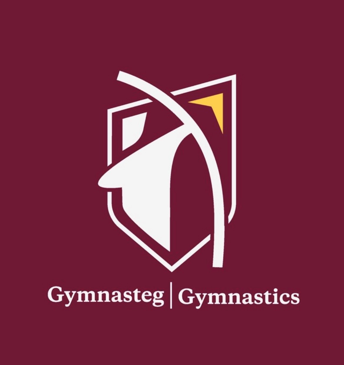 Gymnastics Summer Camp 2026 - HALF DAY