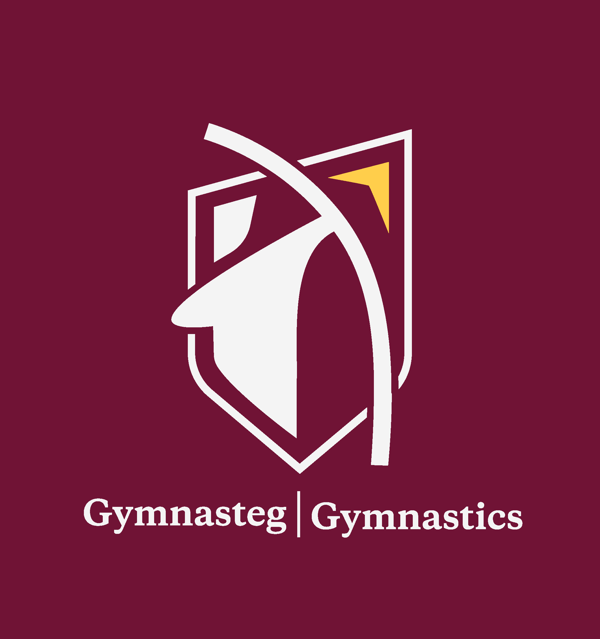 Junior Gymnastics - Catch up Payments