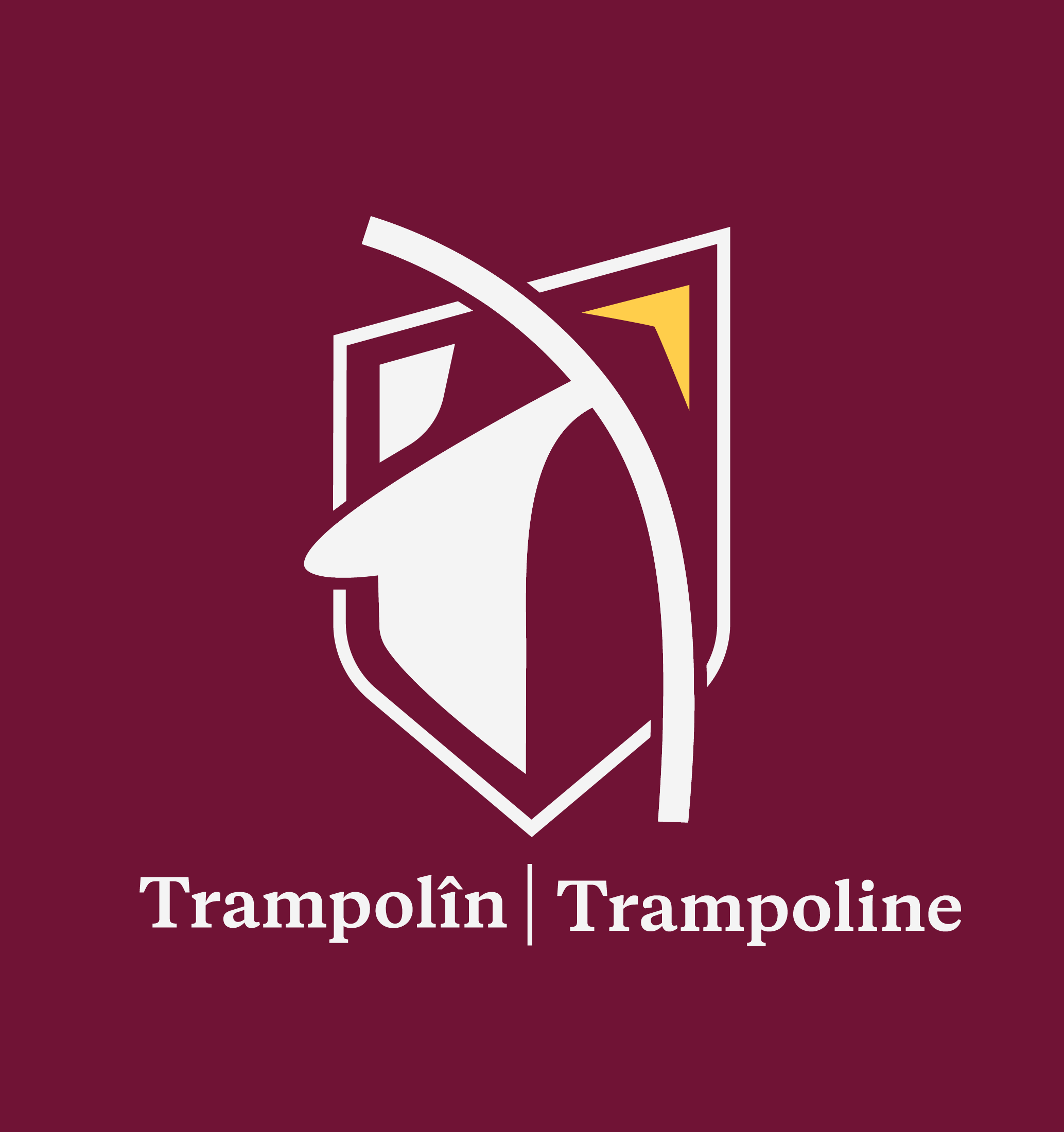 Regional Trampolining