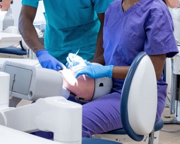 Orthograde Root Canal Treatment: The Essentials Course