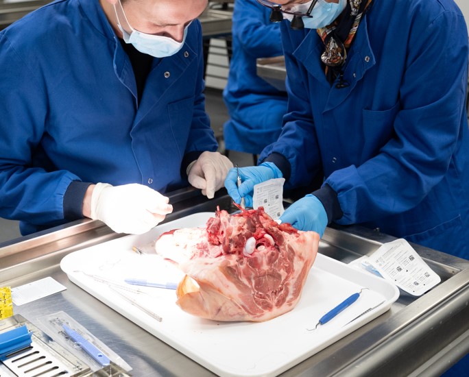 Oral Surgery Dissection Masterclass